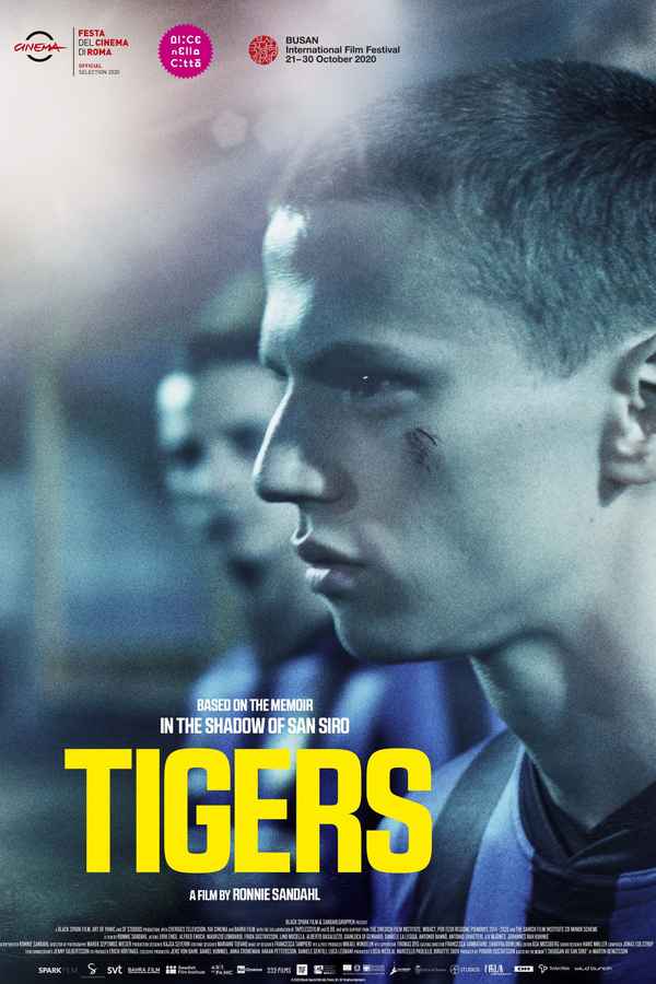 Tigers Poster 4