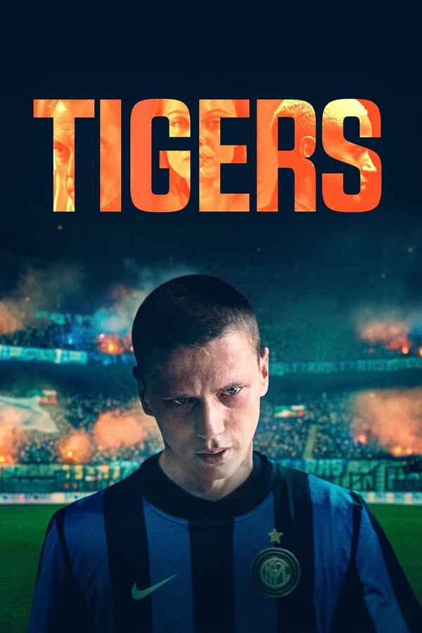 Tigers Poster 5