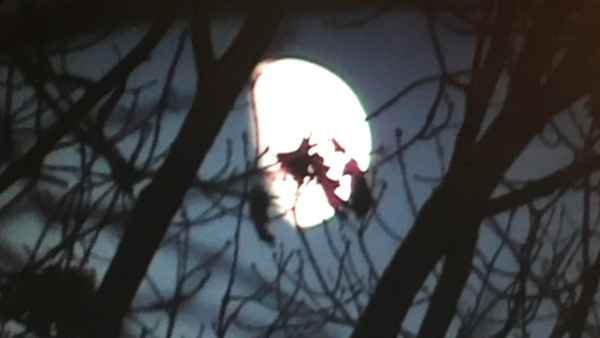 Tinsman Road Poster 1