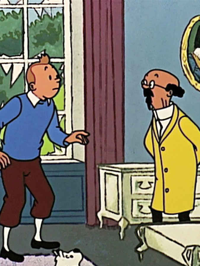 Tintin and the Calculus Affair
