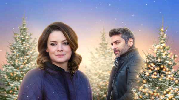 To All a Good Night Poster 5