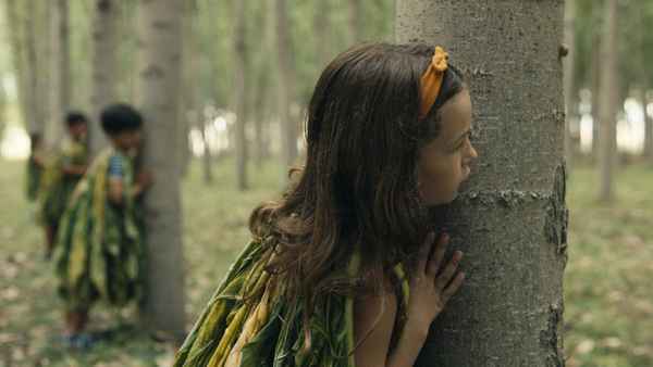 Tobacco Barns Poster 1