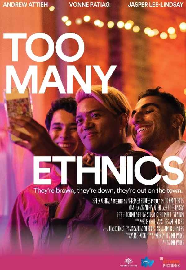 Too Many Ethnics Poster 2