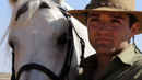 Tornado and the Kalahari Horse Whisperer Poster 2