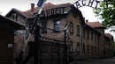 Touched By Auschwitz Poster 2