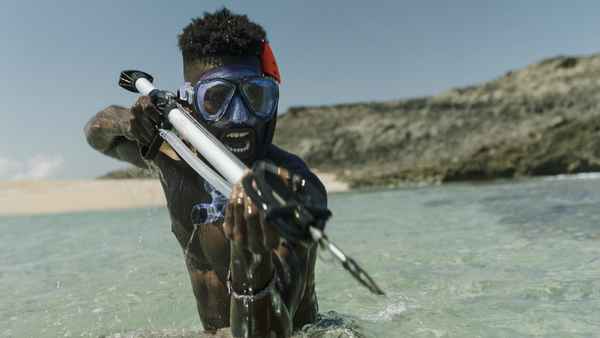 Toxic Shark Poster 4