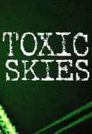 Toxic Skies Poster 2