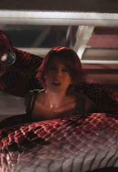 eve boa vs python eve boa vs python