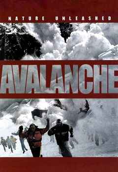 Nature Unleashed: Avalanche Poster 2