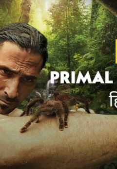 Watch Primal Survivor Over the Andes Online, All Seasons or Episodes