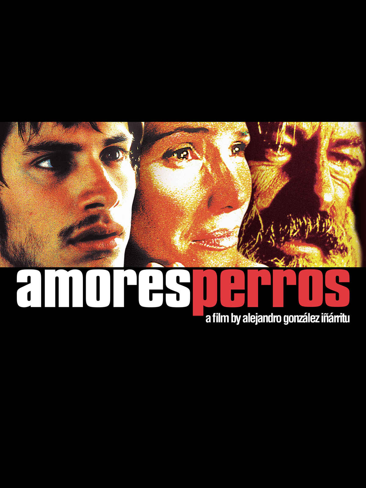 amores perros streaming