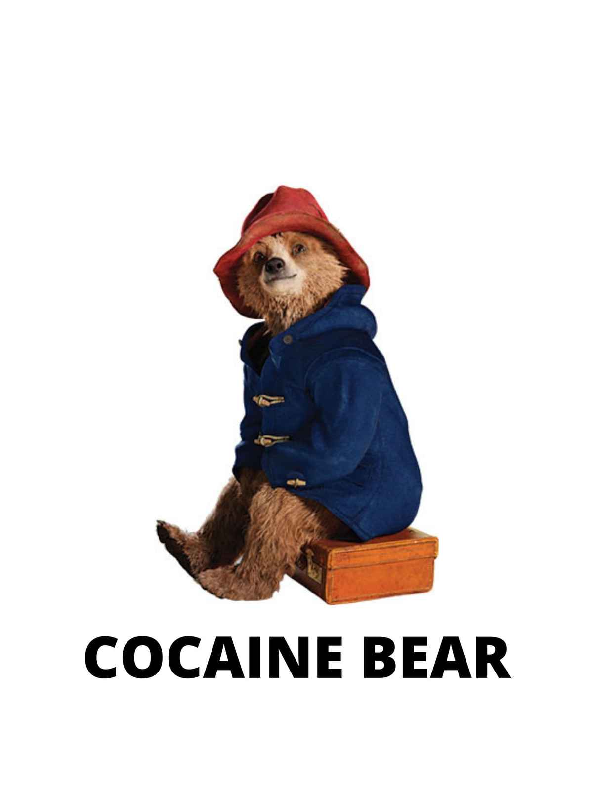 cocain bear cocain bear