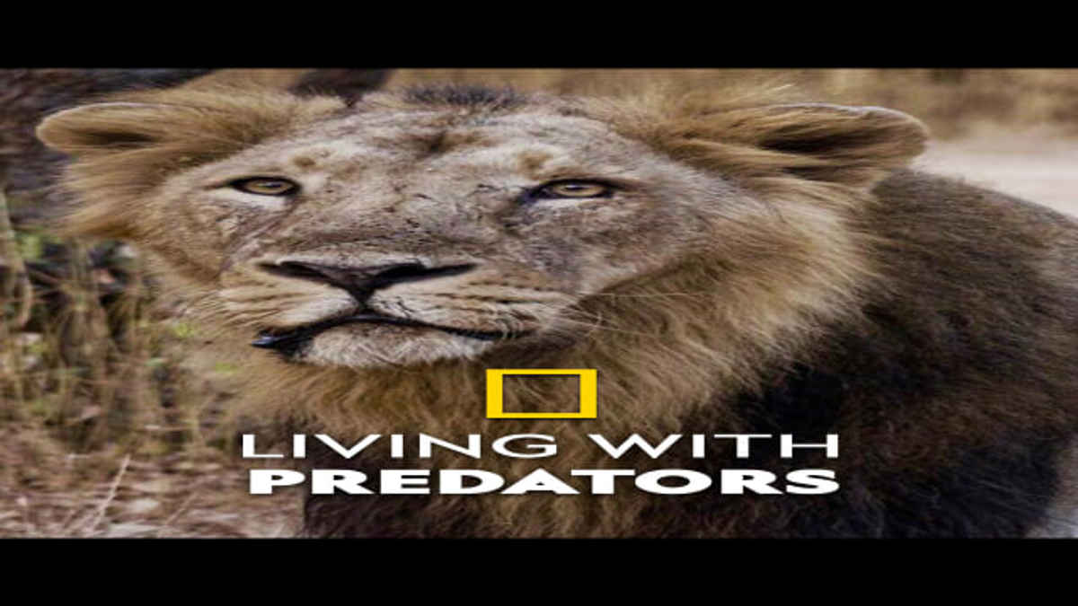 Watch Living with Predators Online, All Seasons or Episodes, Other