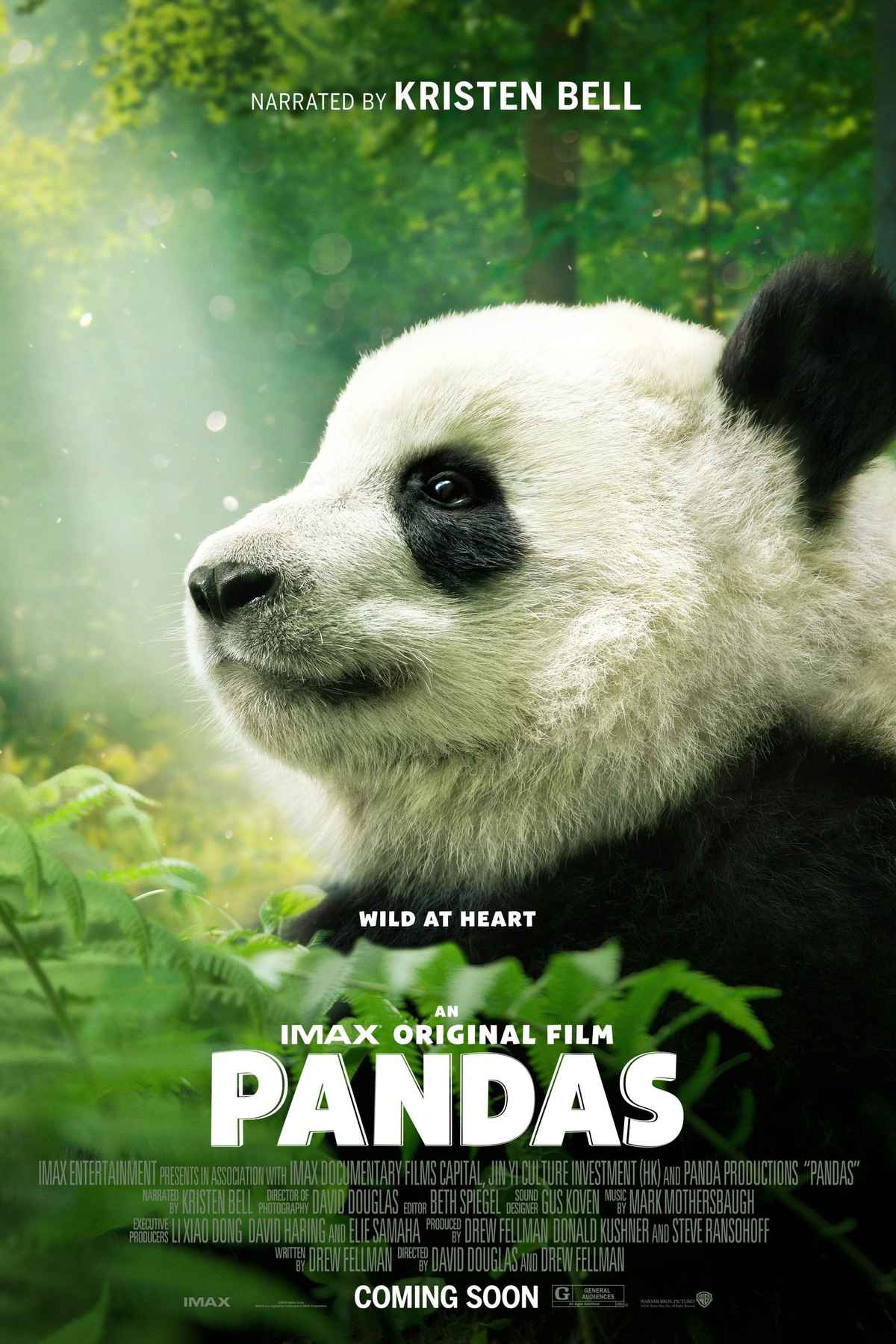 Pandas: The Journey Home