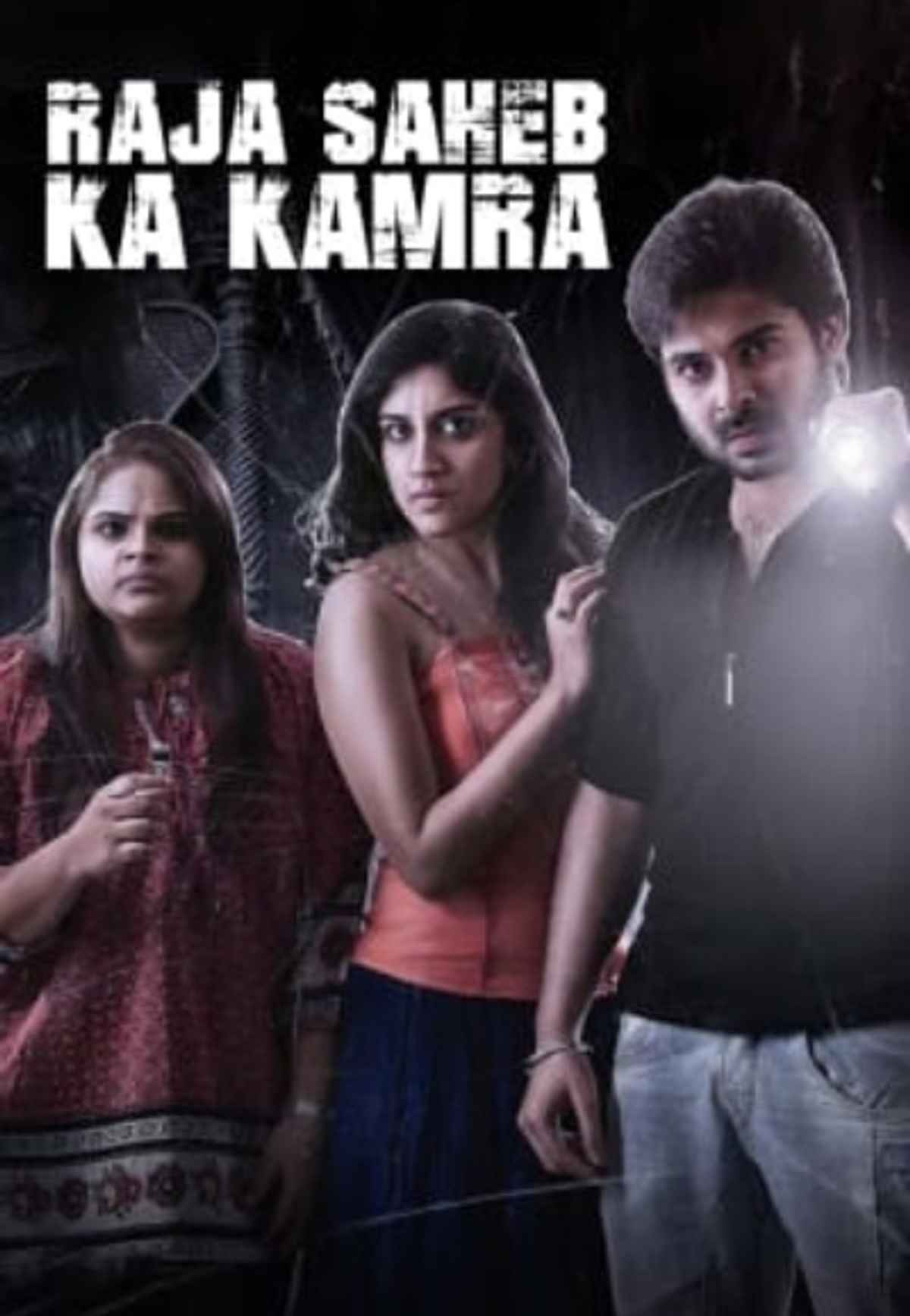 Raja Saheb Ka Kamra Movie (2015) | Release Date, Cast, Trailer, Songs