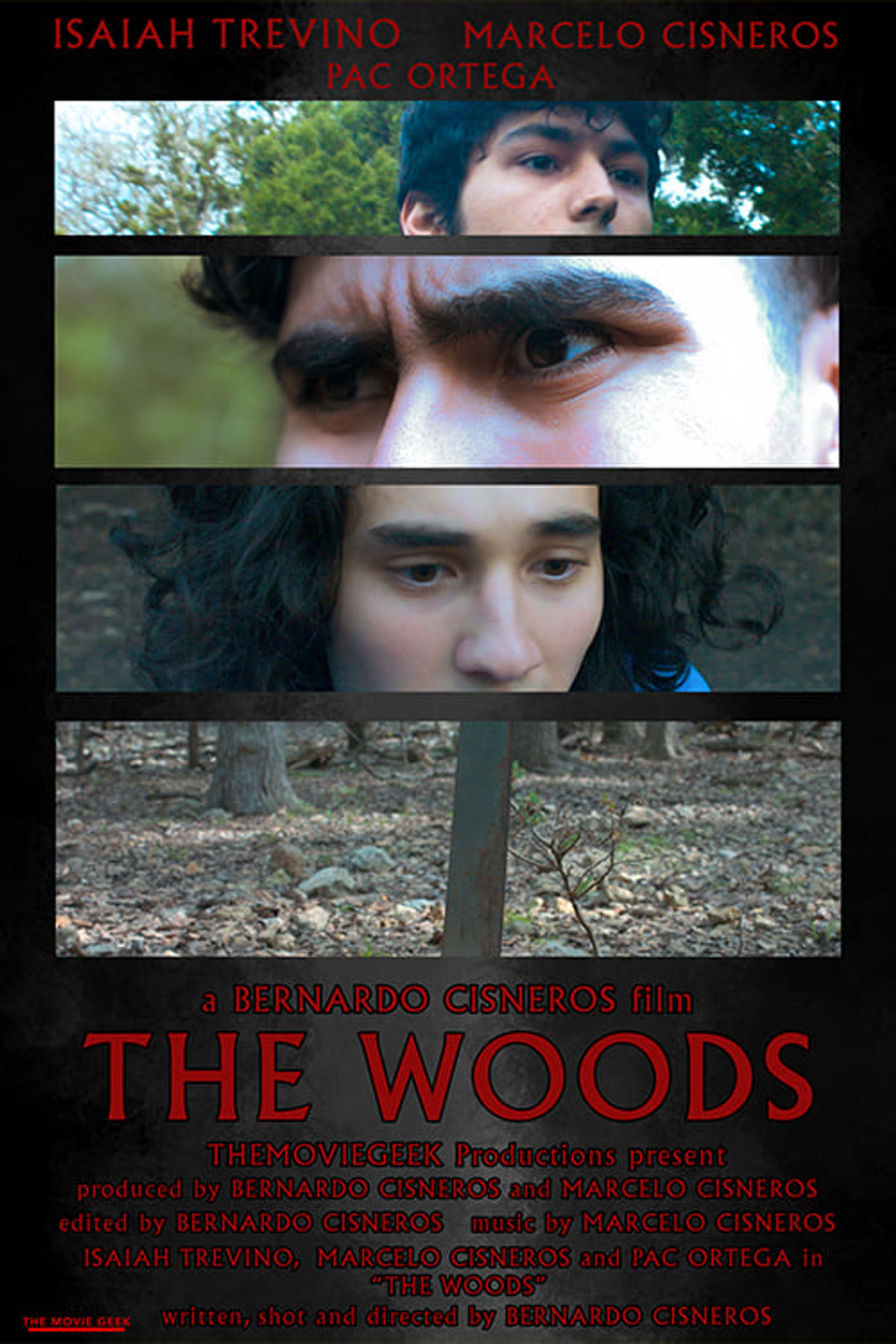 Watch The Woods Full Movie Online, Release Date, Trailer, Cast and Songs - Vimarsana News