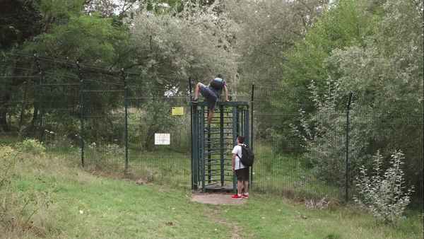 Treasure Island Poster 6