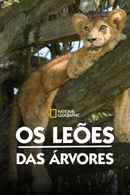 Tree Climbing Lions Poster 5