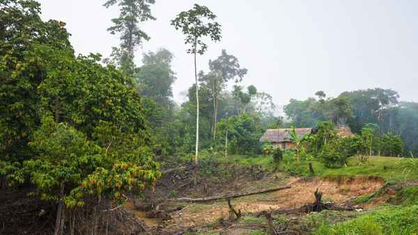 Tribes on the Edge Poster 5