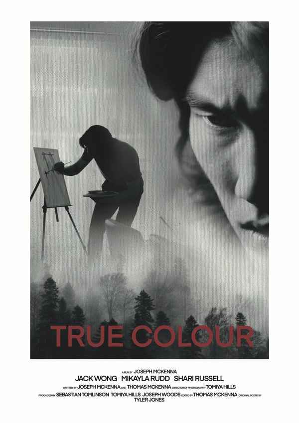 True Colour Poster 2