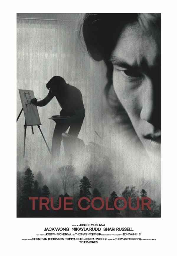 True Colour Poster 3