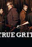 True Grit Poster 6