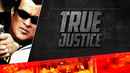 True Justice Poster 2