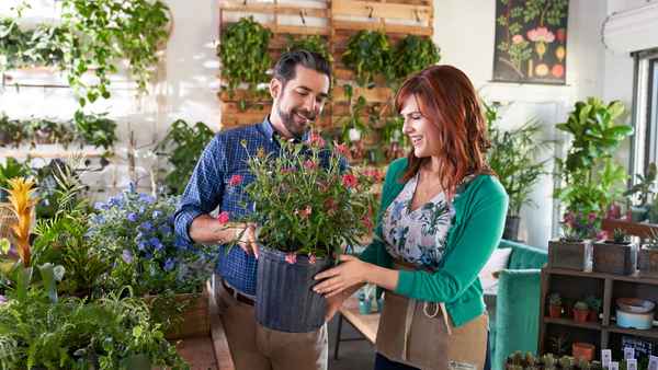 True Love Blooms Poster 6