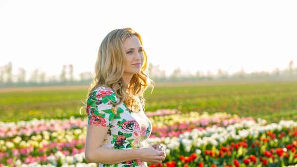 Tulips in Spring Poster 2