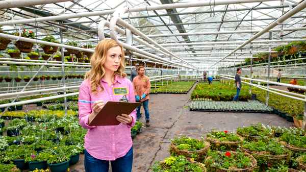 Tulips in Spring Poster 3