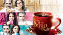 Tum Milo Toh Sahi Poster 6