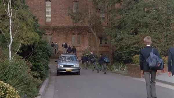 Turtle Beach Poster 5