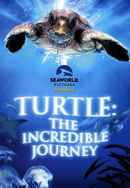Turtle: The Incredible Journey Poster 2