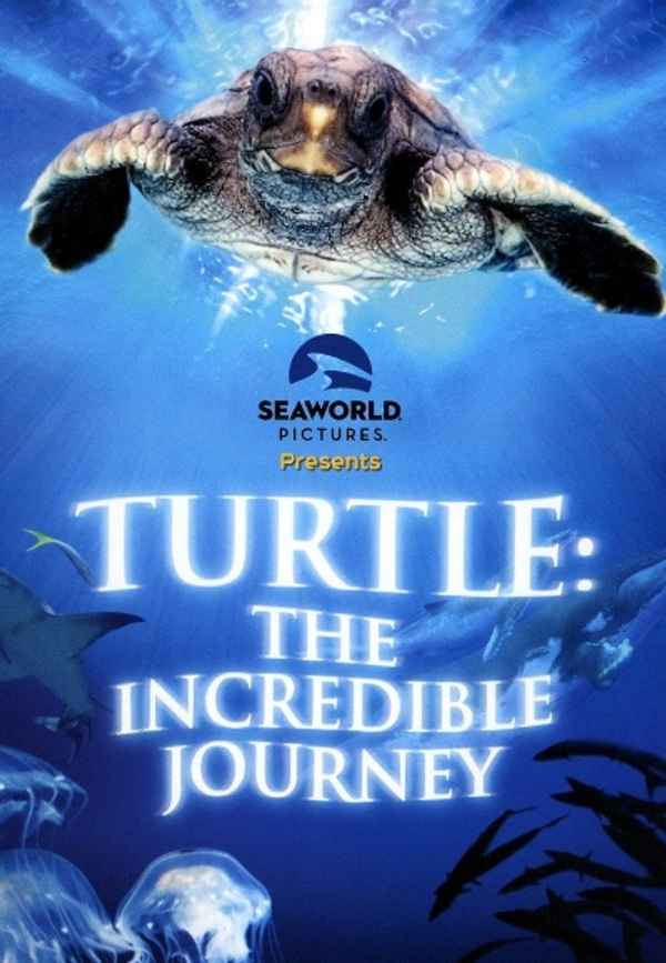 Turtle: The Incredible Journey Poster 2