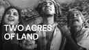 Two Acres of Land Poster 6