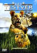 Two Brothers Poster 1