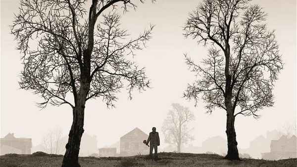 Tyrannosaur Poster 7