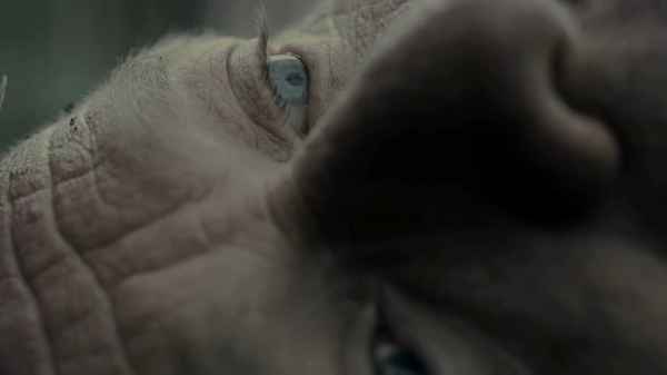 Tyrannosaur Poster 6