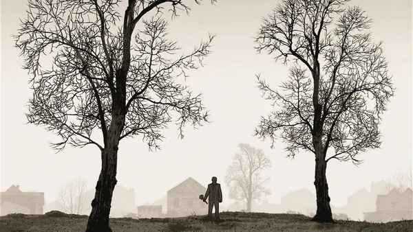 Tyrannosaur Poster 4