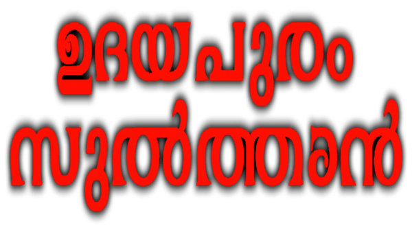 Udayapuram Sulthan Poster 7