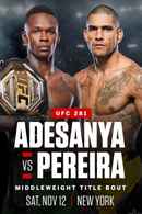 UFC 281: Adesanya vs Pereira Poster 5