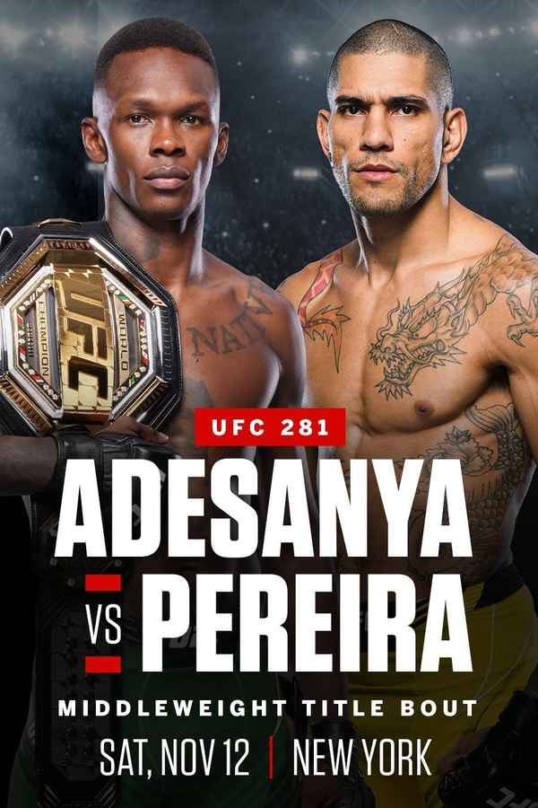 UFC 281: Adesanya vs Pereira Poster 5
