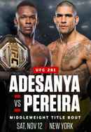 UFC 281: Adesanya vs Pereira Poster 6