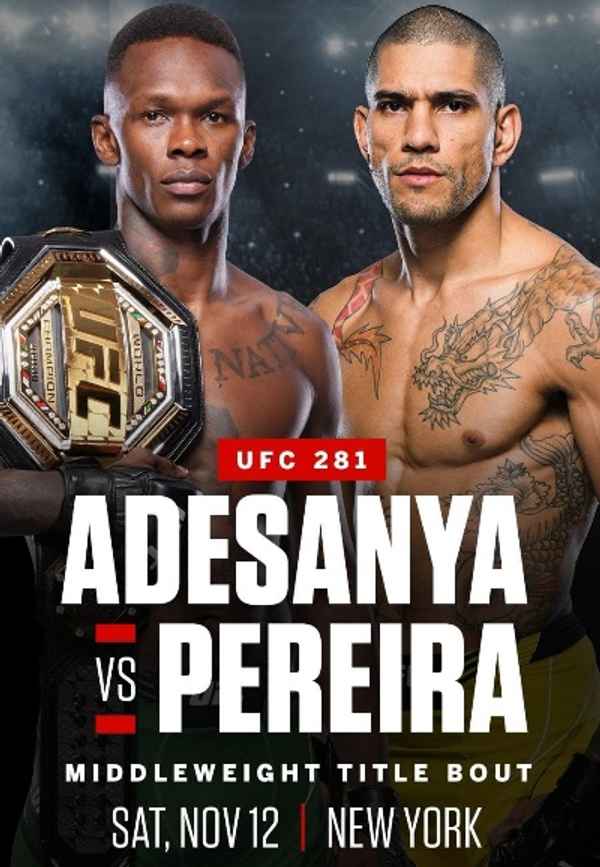 UFC 281: Adesanya vs Pereira Poster 6