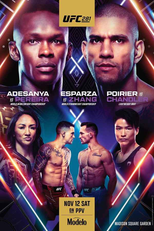 UFC 281: Adesanya vs Pereira Poster 4