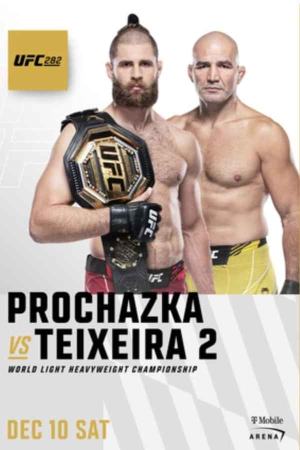 UFC 282: Procházka vs. Teixeira 2 Poster 7