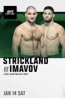 UFC Fight Night 217: Gastelum vs. Imavov Poster 6