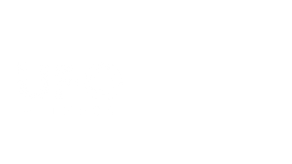 UFO Witness Poster 6