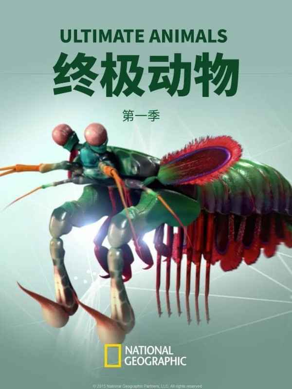 Ultimate Animals Poster 7