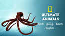 Ultimate Animals Poster 1